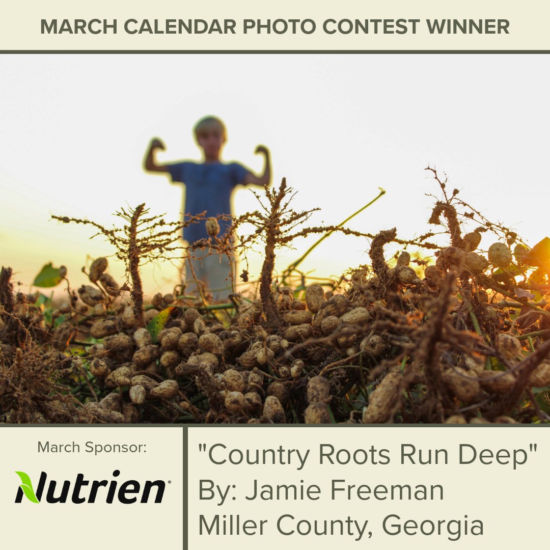 GA Peanut Commission tweet media