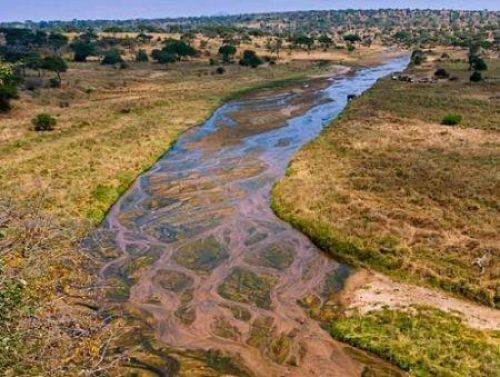 South African Banks Plan $122 Million Green Bond to Restore Water Catchments ecofinagency.com/news-agricultu…