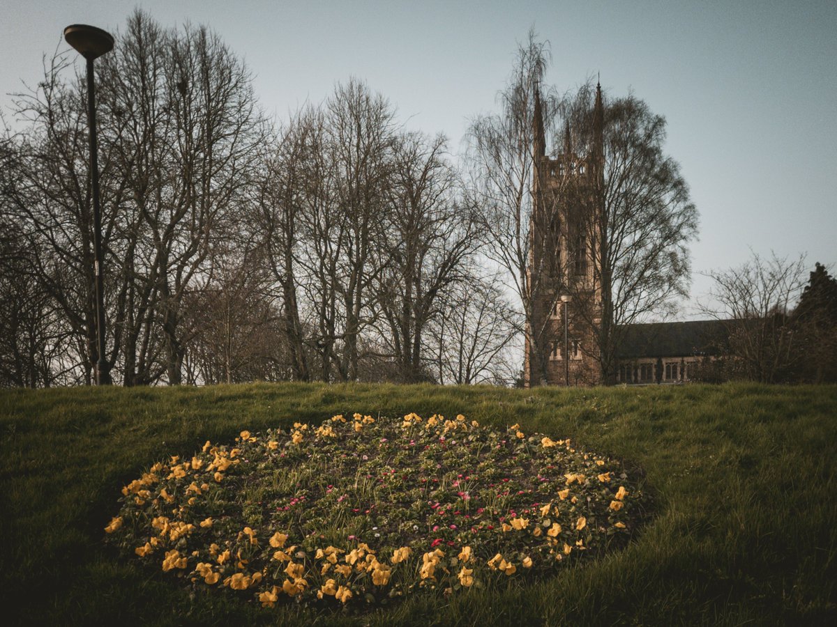 KankaMarcin's tweet photo. Day 131/365
a small ring of colour holding the hill together
quiet park air, church watching from the distance 🌼⛪️
soft light, slow day 🌿
#365challenge #365dayphotochallenge #photoaday #dailyphoto #ukphotography #parkphotography #churchview #urbannature #springhint #flowers https://t.co/21G5f0D8nX