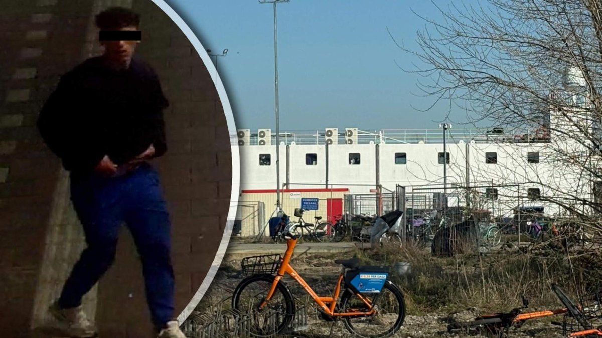Woede over Marokkaanse ’veiligelander’ die studente in Rotterdam belaagde: ’Hoeveel van die lui zitten hier?’ telegraaf.nl/binnenland/woe…