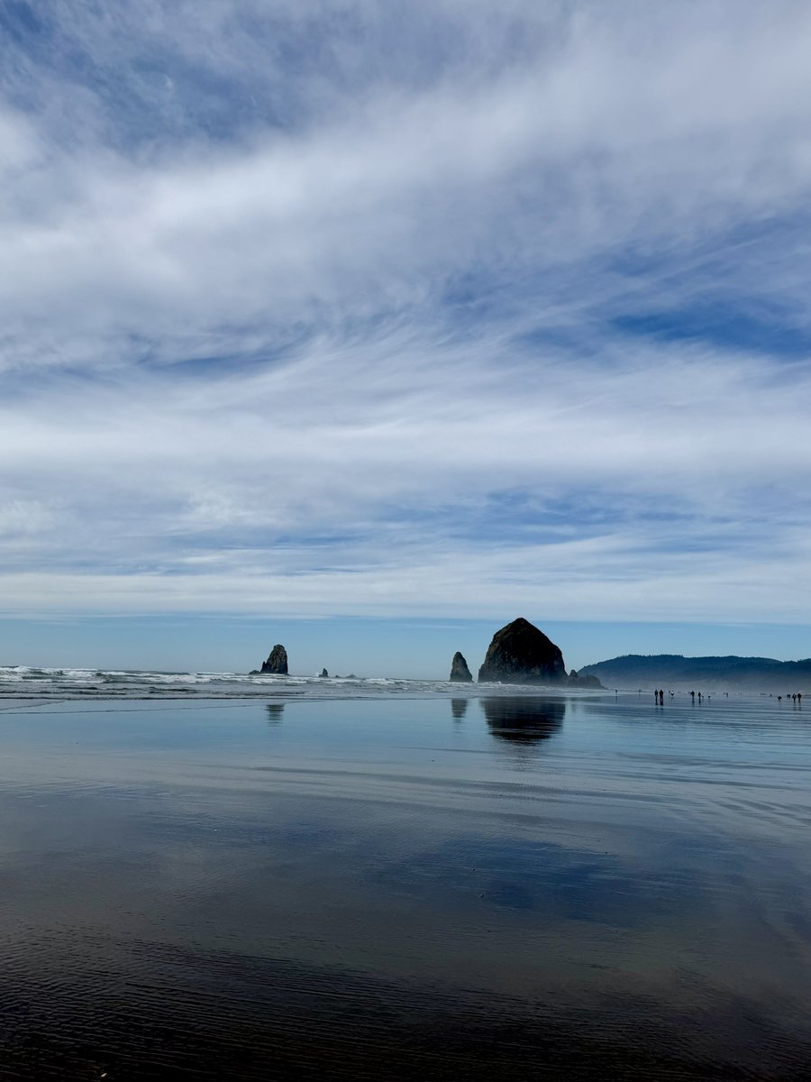 💋Divinity💋Femdom ࿋ FLR Advocate tweet media