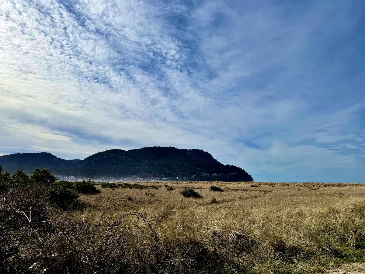 💋Divinity💋Femdom ࿋ FLR Advocate tweet media