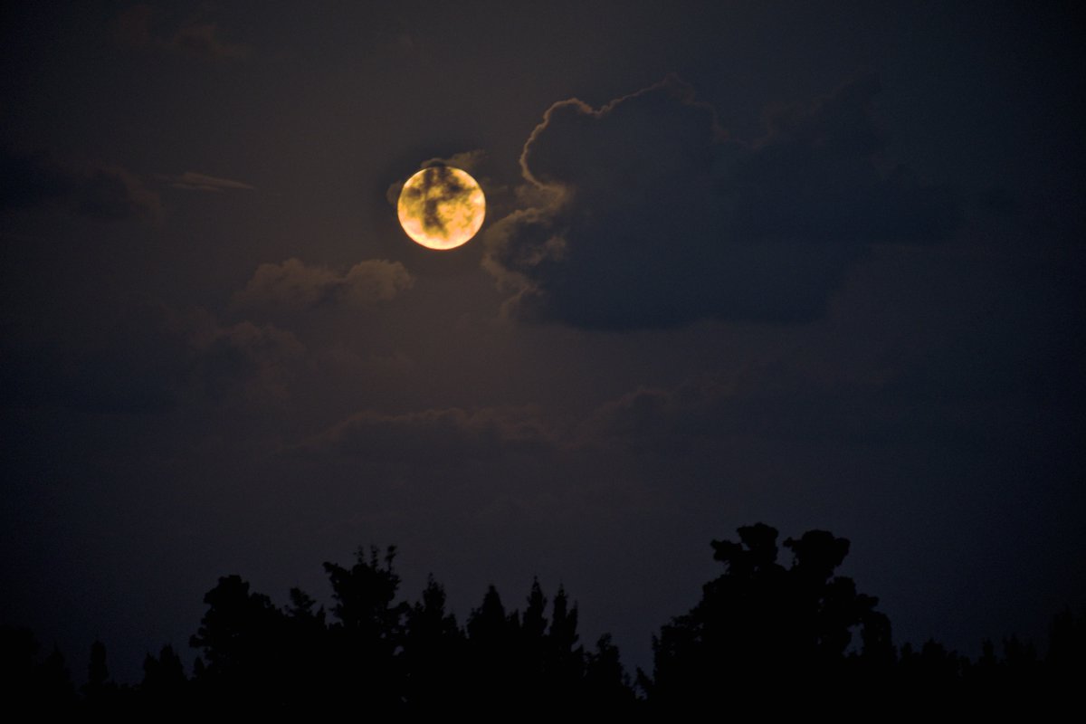 Arlo Guthrie tweet media