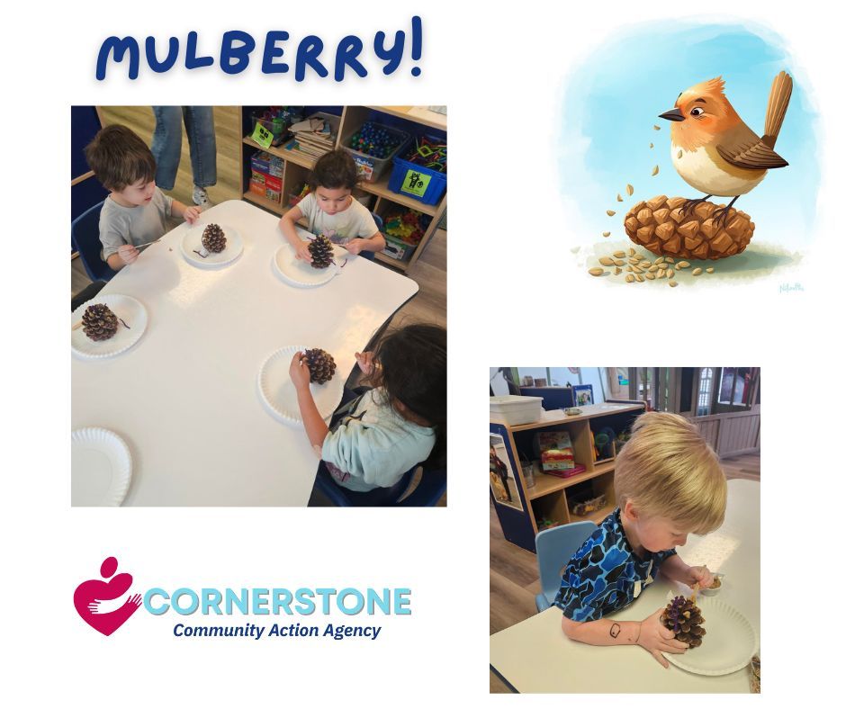 Mulberry Head Start in Decatur went full “bird bistro.” 🐦🌲
Students made pine cone bird feeders with seed, and the neighborhood birds are about to leave 5-star reviews. ⭐️⭐️⭐️⭐️⭐️