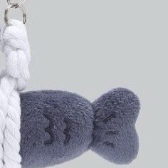 ꒰ა🐰ྀི໒꒱ tweet media