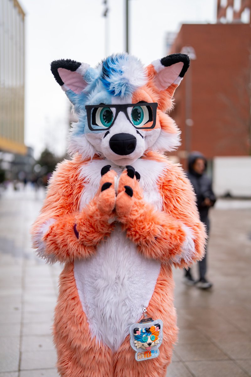 Artemis 🦊 🔜 CFZ tweet media