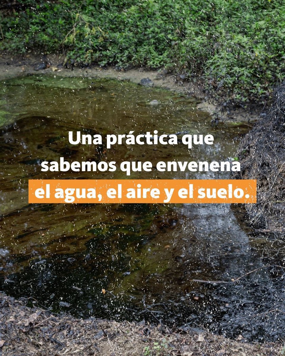 No Fracking Mx tweet media