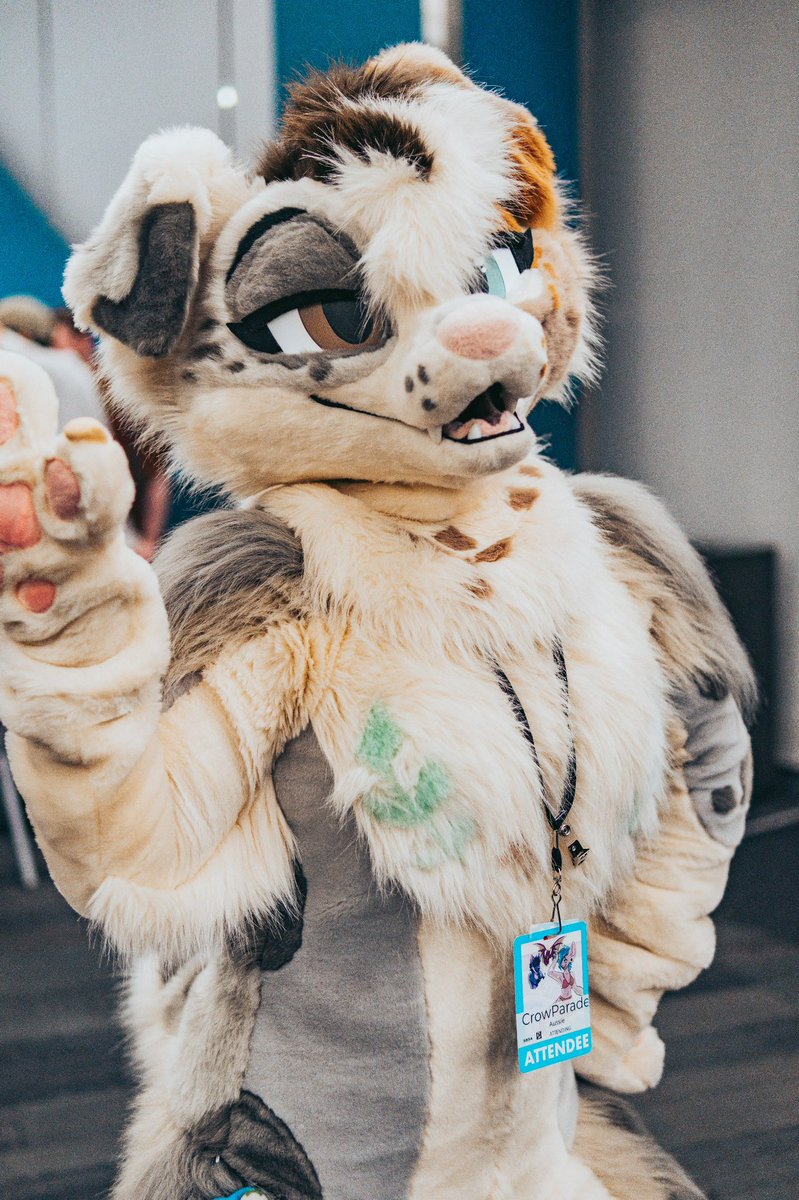 The Midnight Howl tweet media