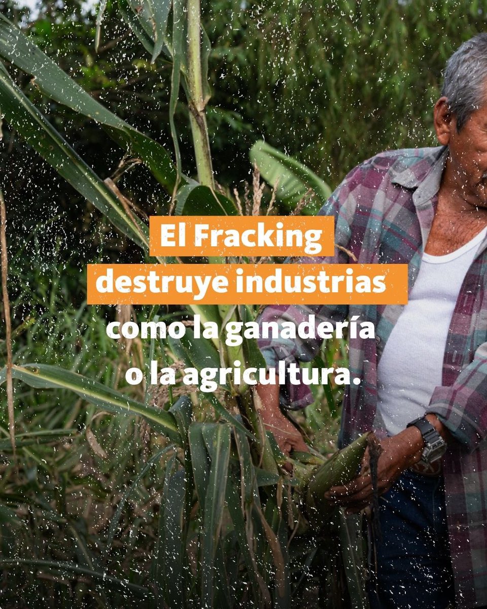 No Fracking Mx tweet media