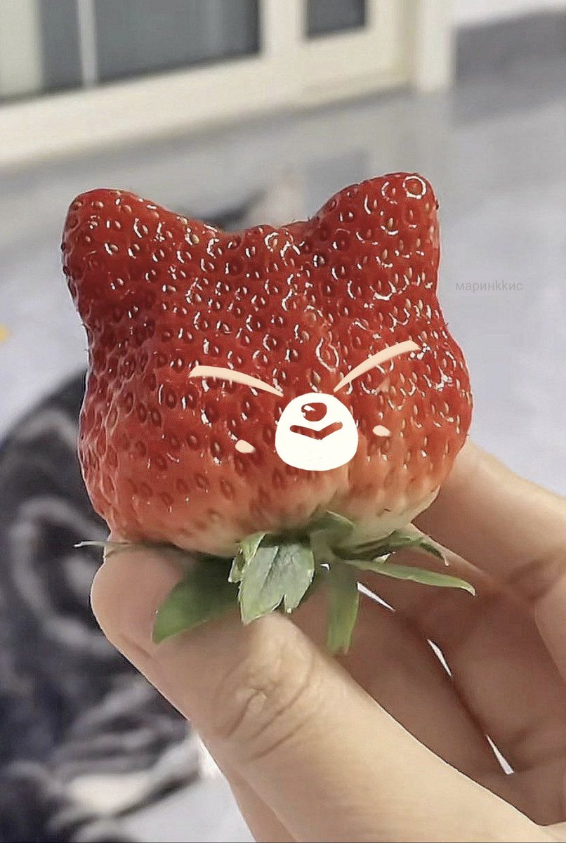 марuнkkис゛🍞 tweet media