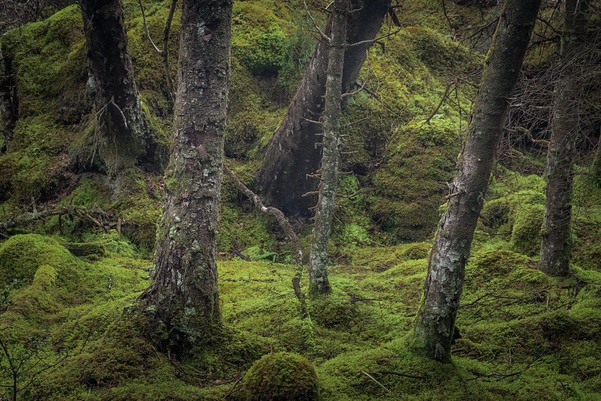 Stuart Klinke tweet media