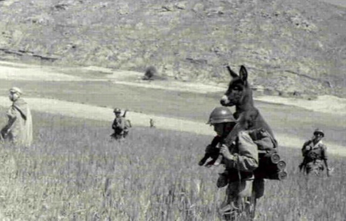 A French foreign legion soldier carries a starving donkey. The donkey later became their unit mascot going by the name 'Bambi.