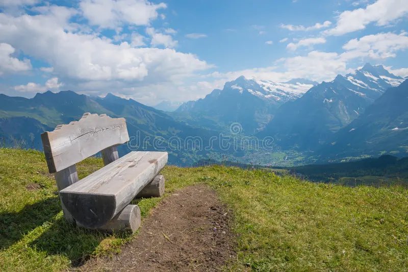 OManiaque tweet media