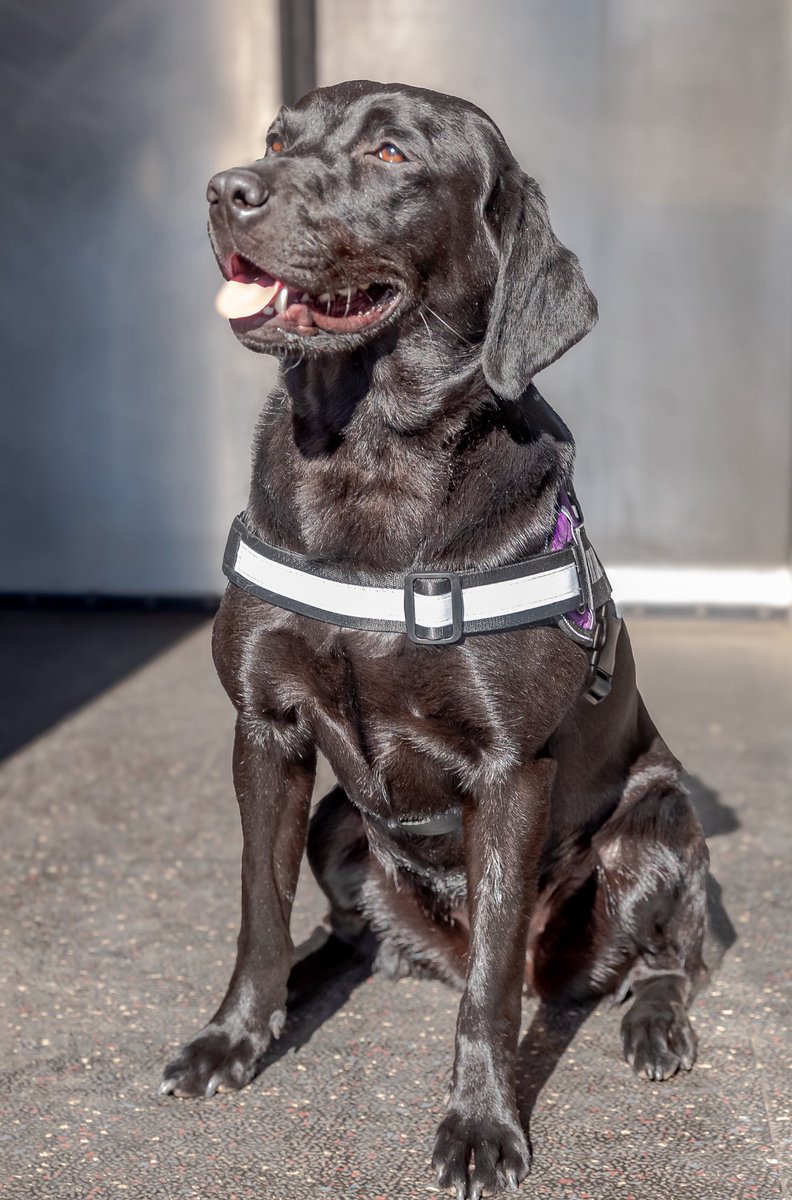 Metro Transit Police tweet media