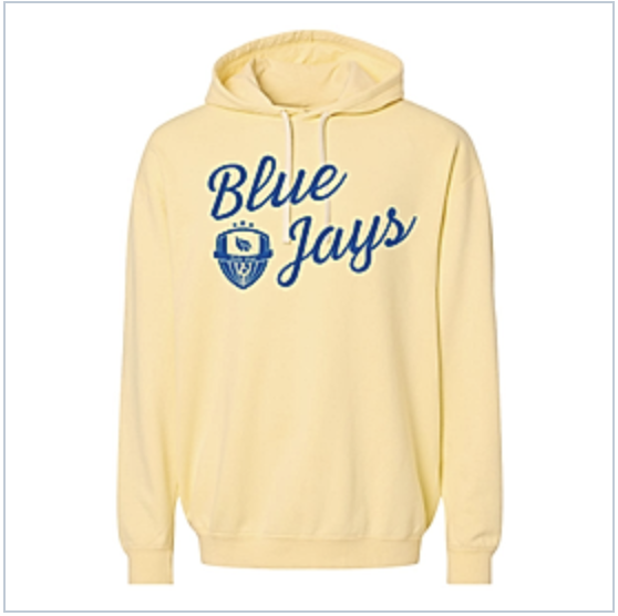 LHS Girls Soccer tweet media