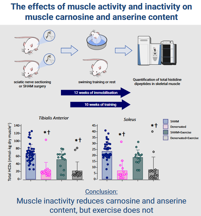AJP-Regulatory, Integrative Comparative Physiology tweet media