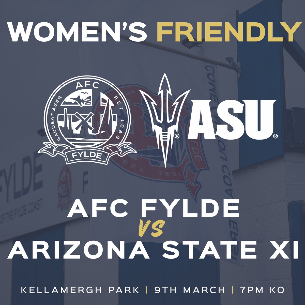 AFC Fylde Women tweet media
