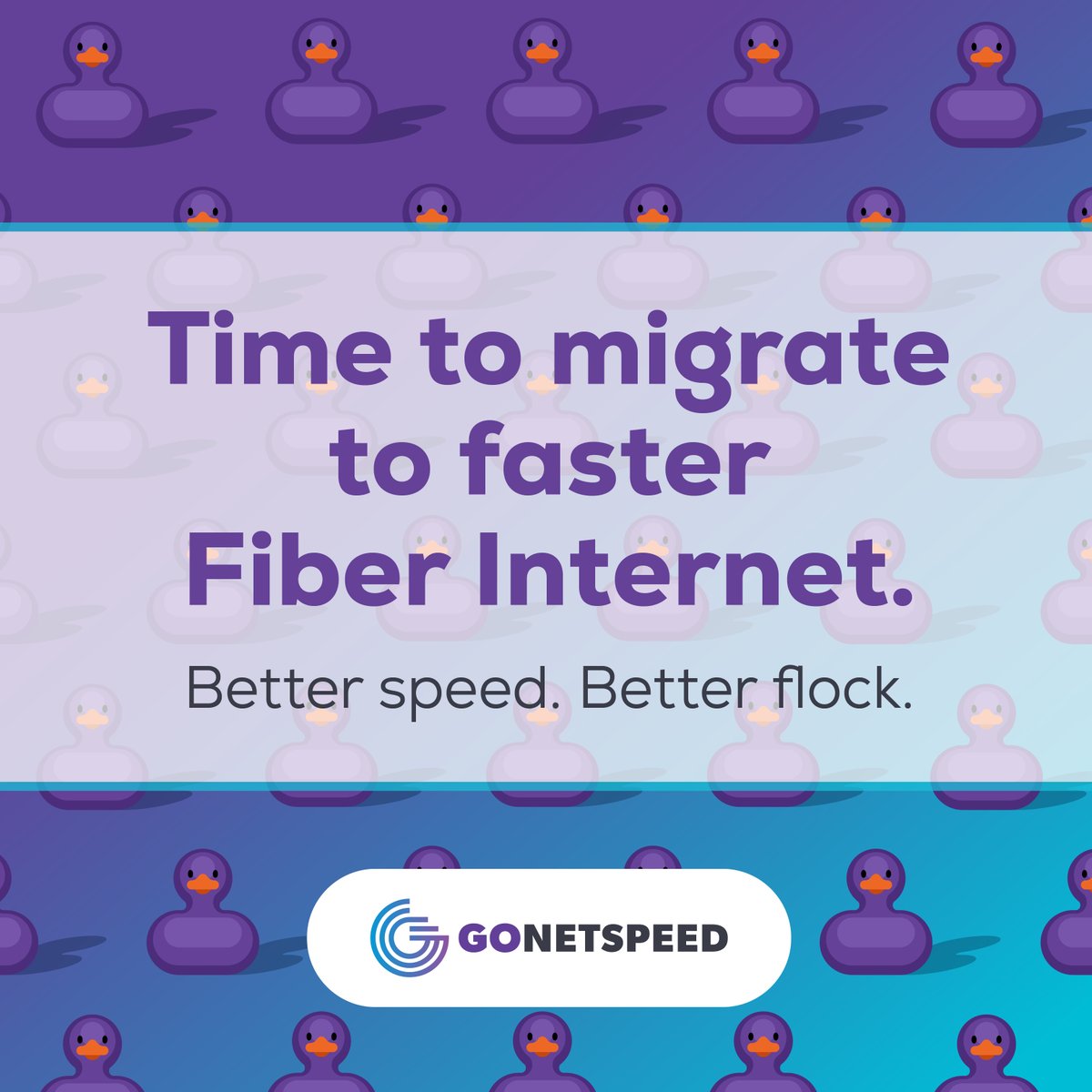 GoNetspeed Internet tweet media