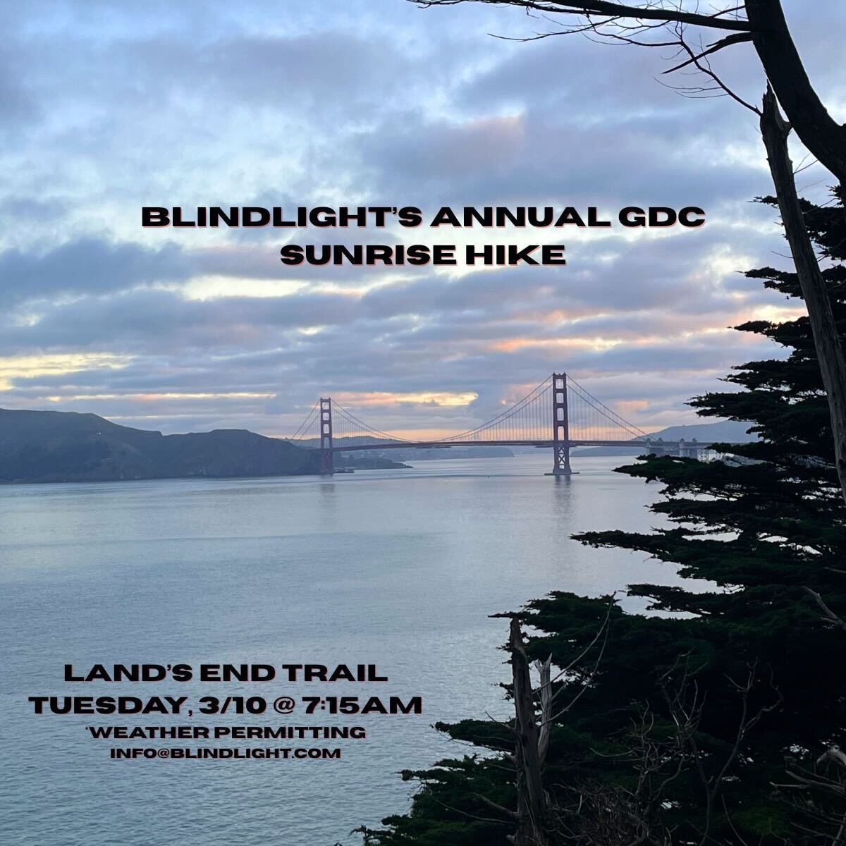 Blindlight tweet media