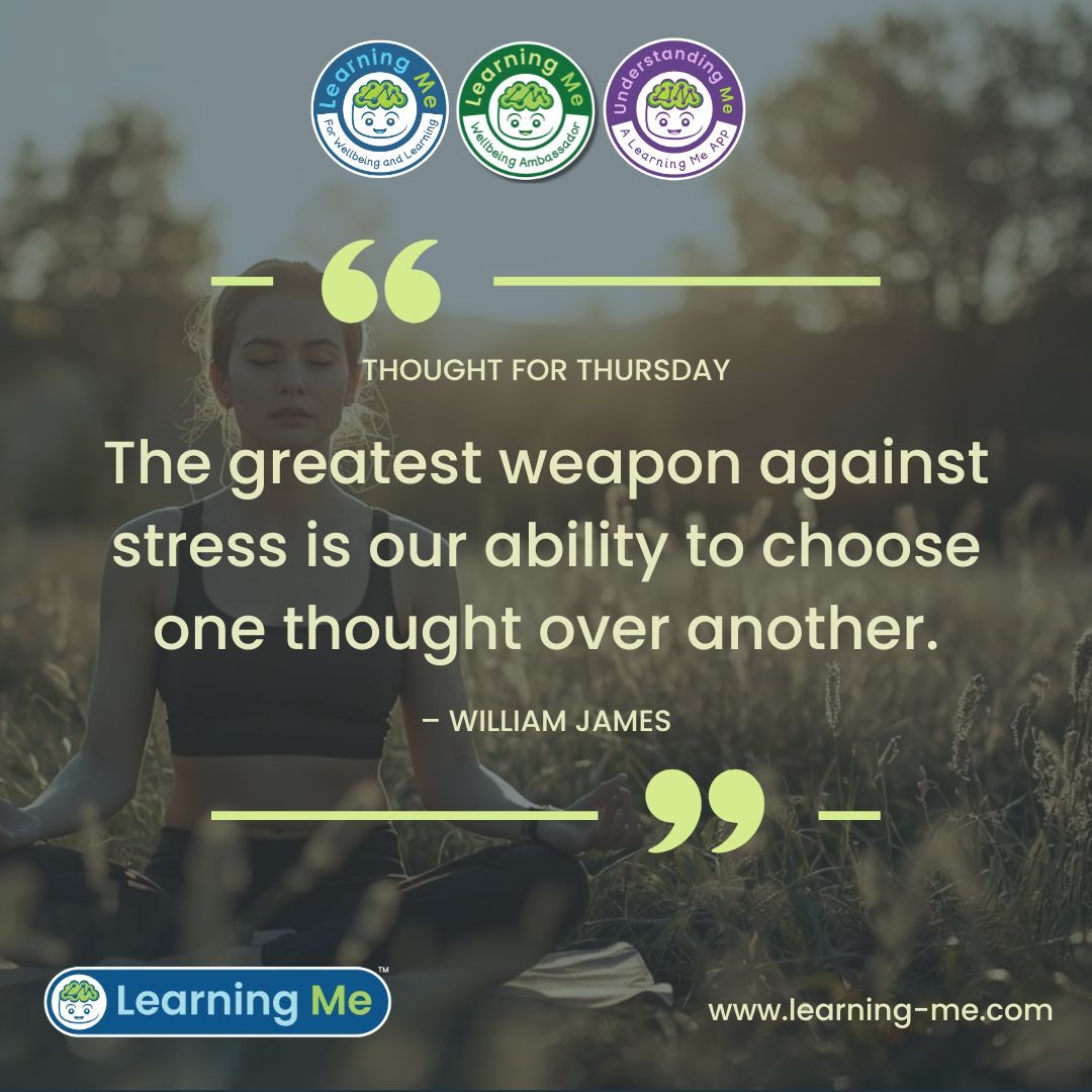 Learning Me tweet media