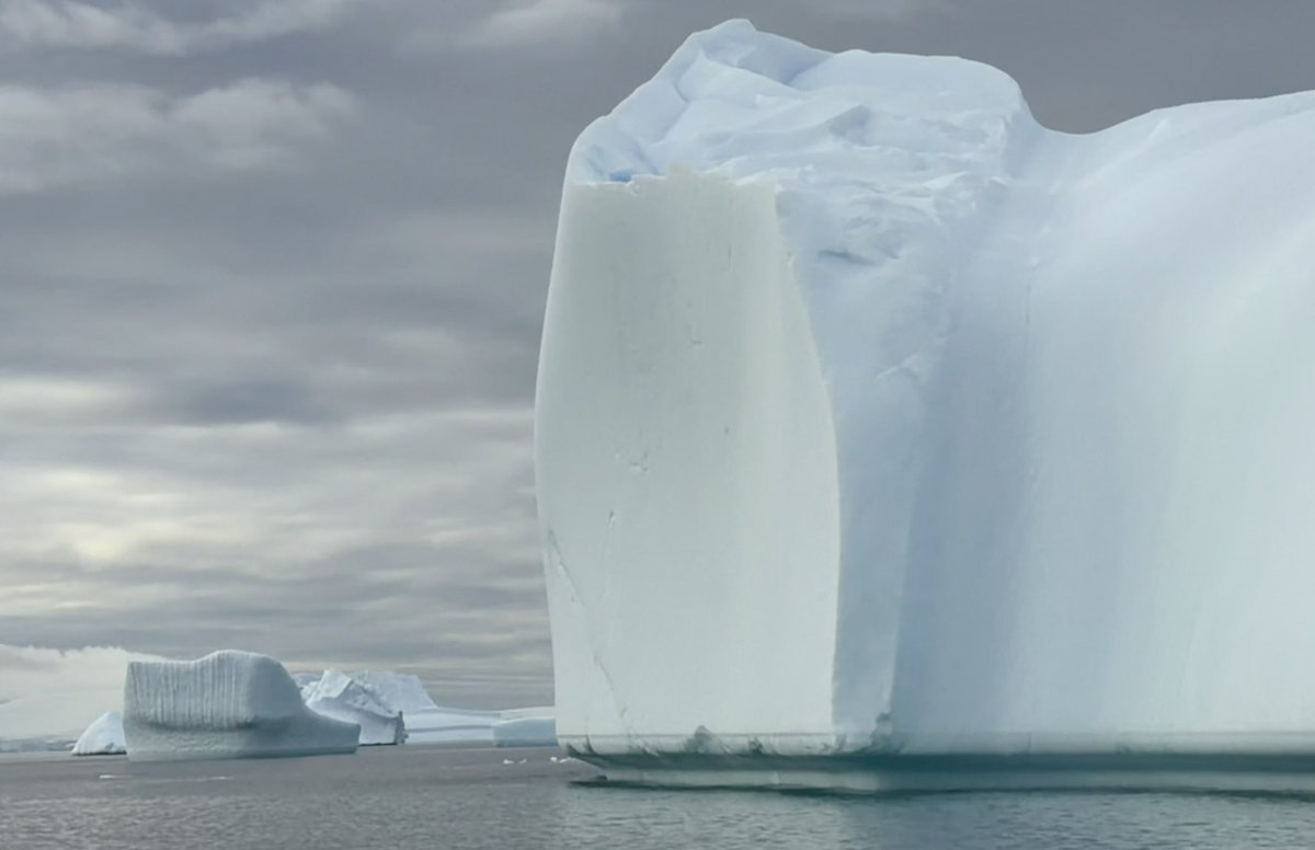 Chris Hart tweet media