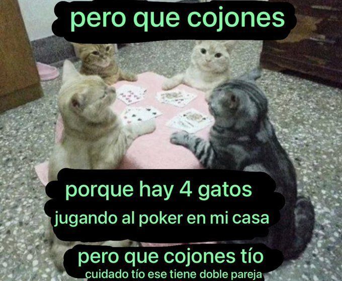 chincheto pirata somali tweet media