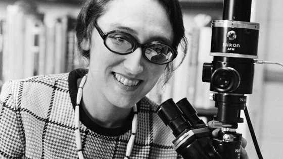 Microbiology Society tweet media