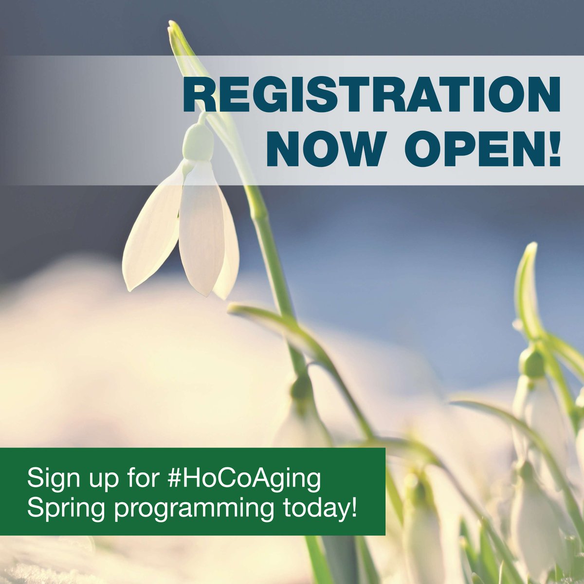 hococommunity tweet media