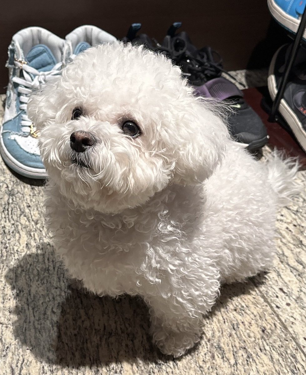 chenle shared a picture of daegal from when she was at her chubbiest (before her diet)…so cute 😭🫶🏻
