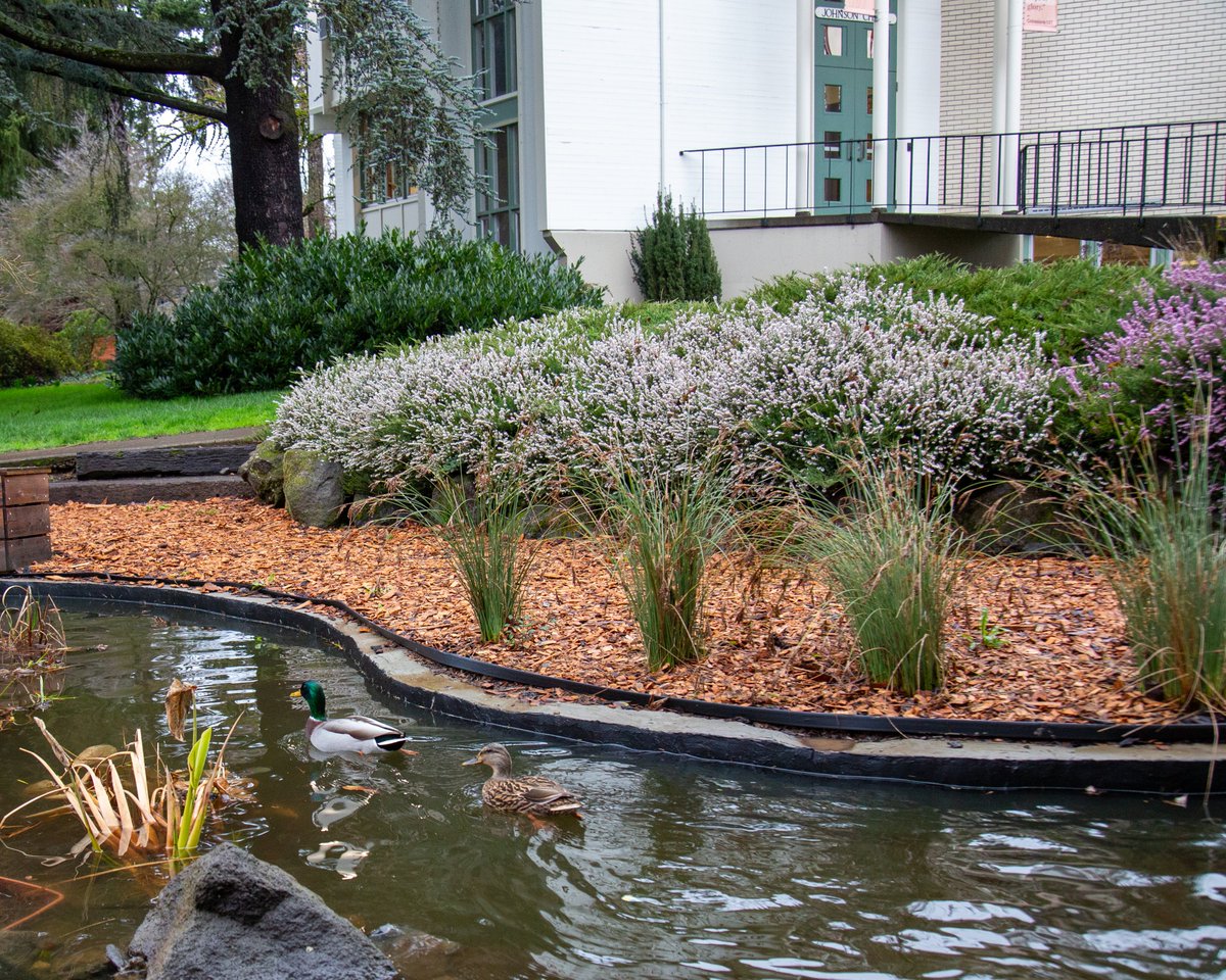 Western Seminary tweet media