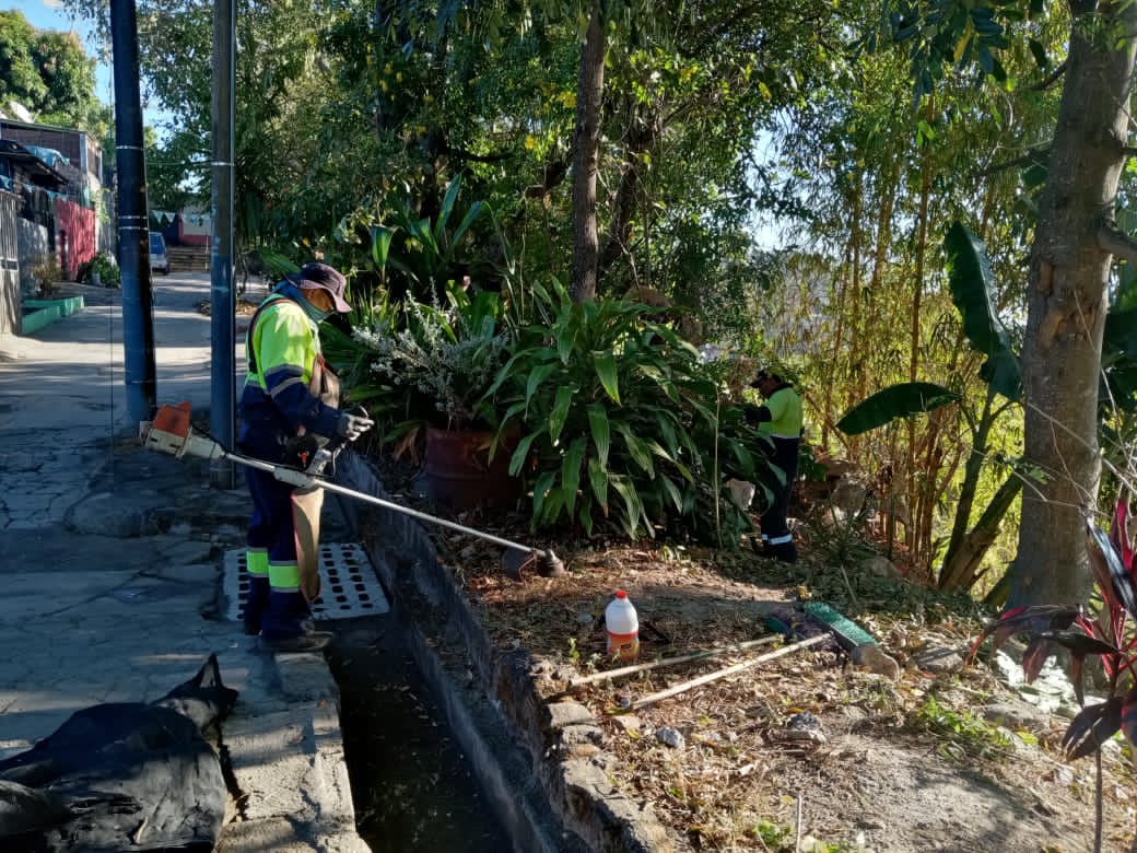 📢 ¡Misión cumplida en Sta. Margarita 1! ✅
​Gestionamos con éxito la zona:
🚮 Retiro total de desechos.
🌿 Chapoda y saneado de áreas verdes.
​Gracias por su confianza. ¡Seguimos trabajando por una comunidad limpia y segura! 💪👷‍♂️
​#ComunidadLimpia