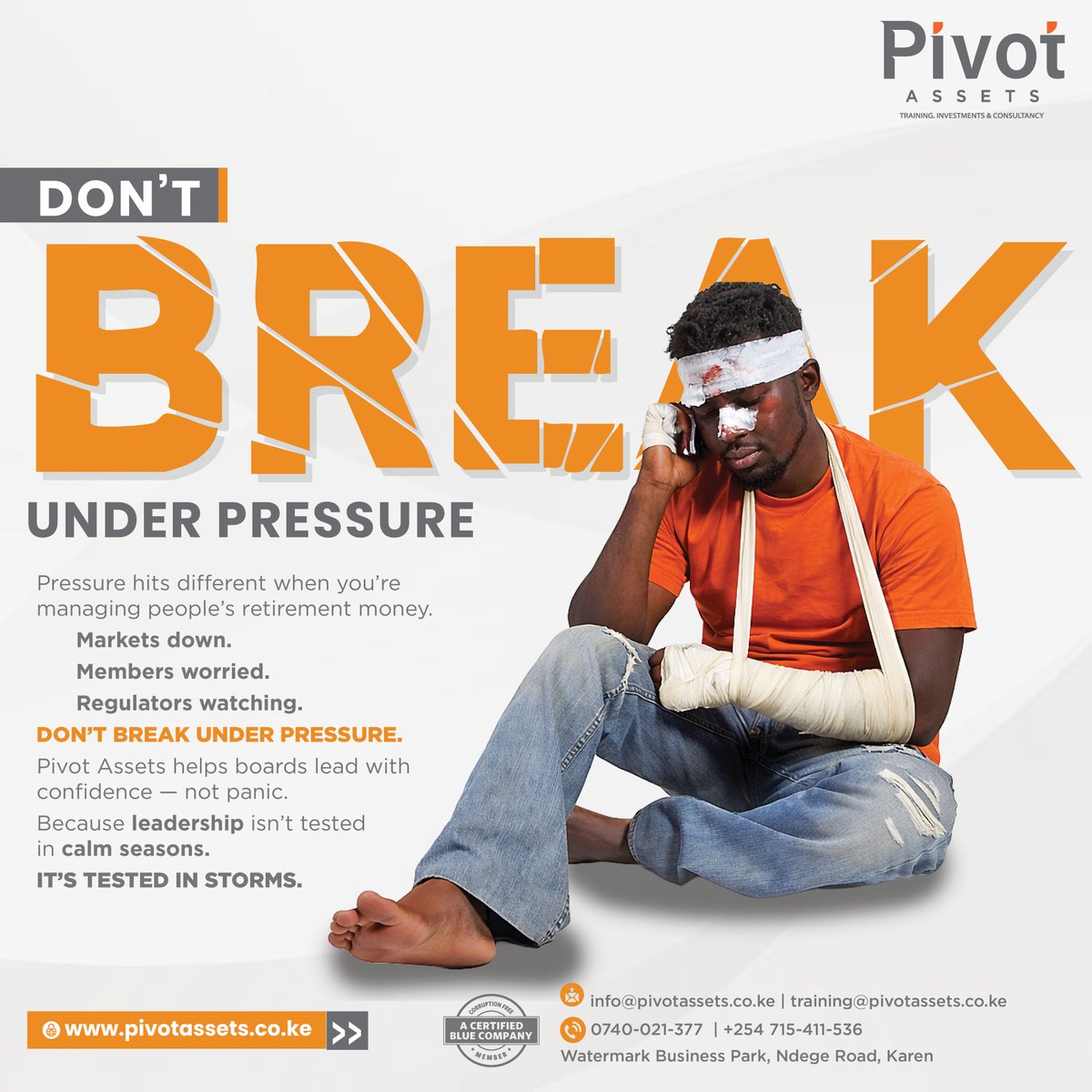 Pivot Assets tweet media