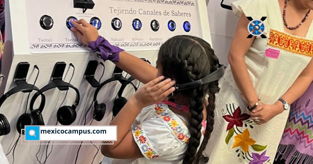Presentan Tejiendo Canales de Saberes, un modelo digital que difunde derechos y salud materna en 7 lenguas indígenas mediante audios y mensajería digital.
La iniciativa busca fortalecer el acceso a información en comunidades indígenas.
mexicocampus.com/difunden-en-au…