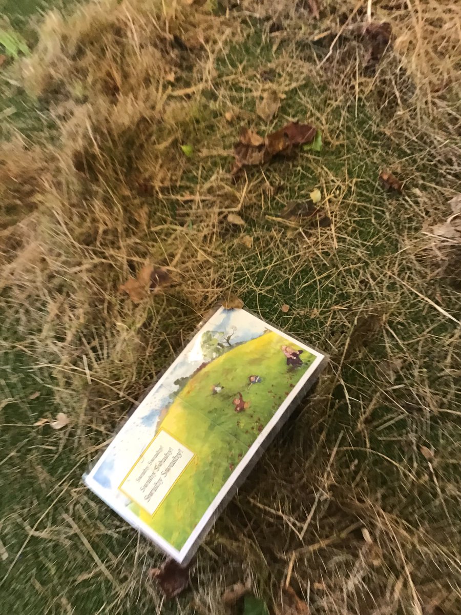 Rushbrook Hive tweet media