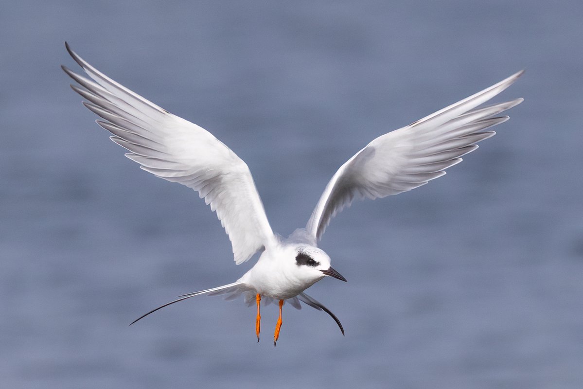 Mark Wright tweet media