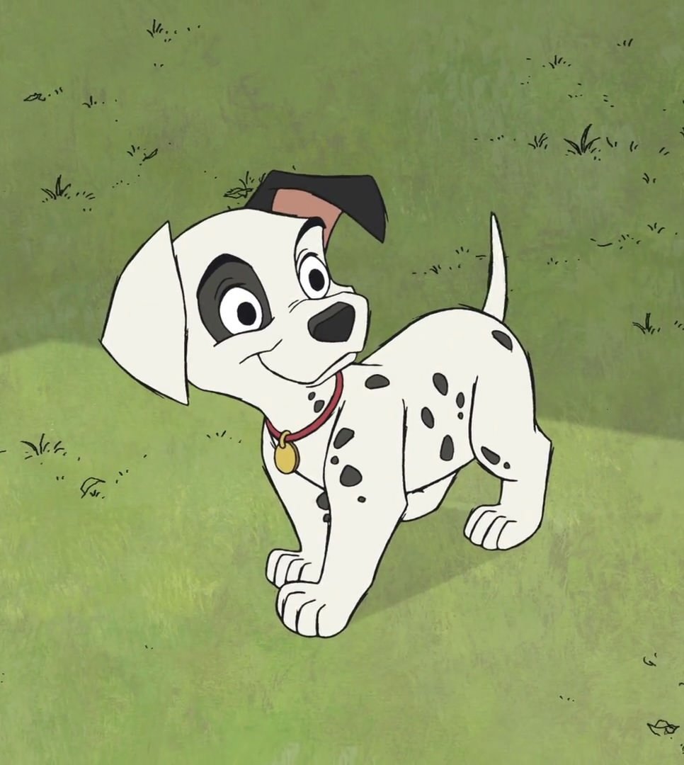 Dalmatian Studio 101 (Commission closed ) tweet media