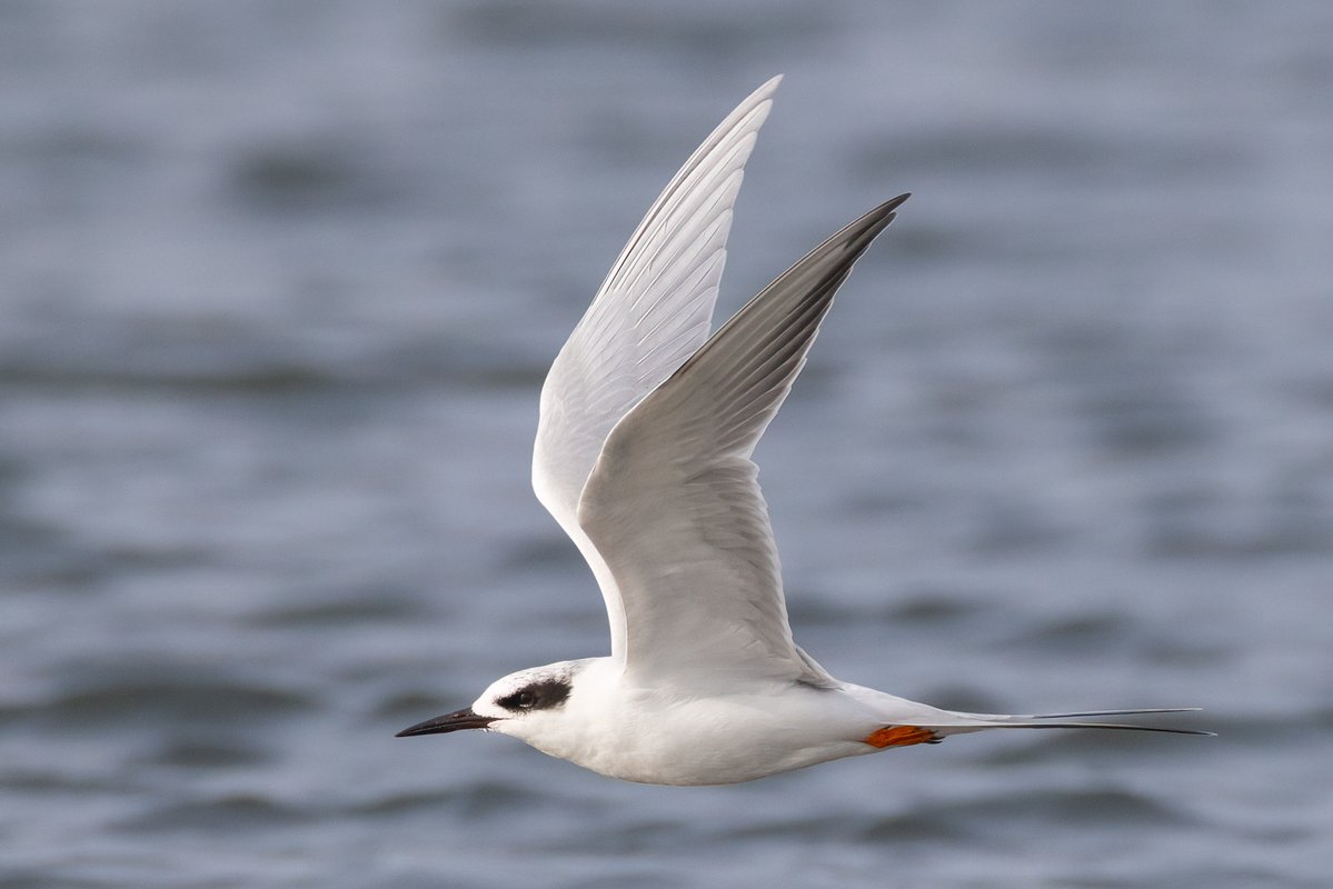 Mark Wright tweet media