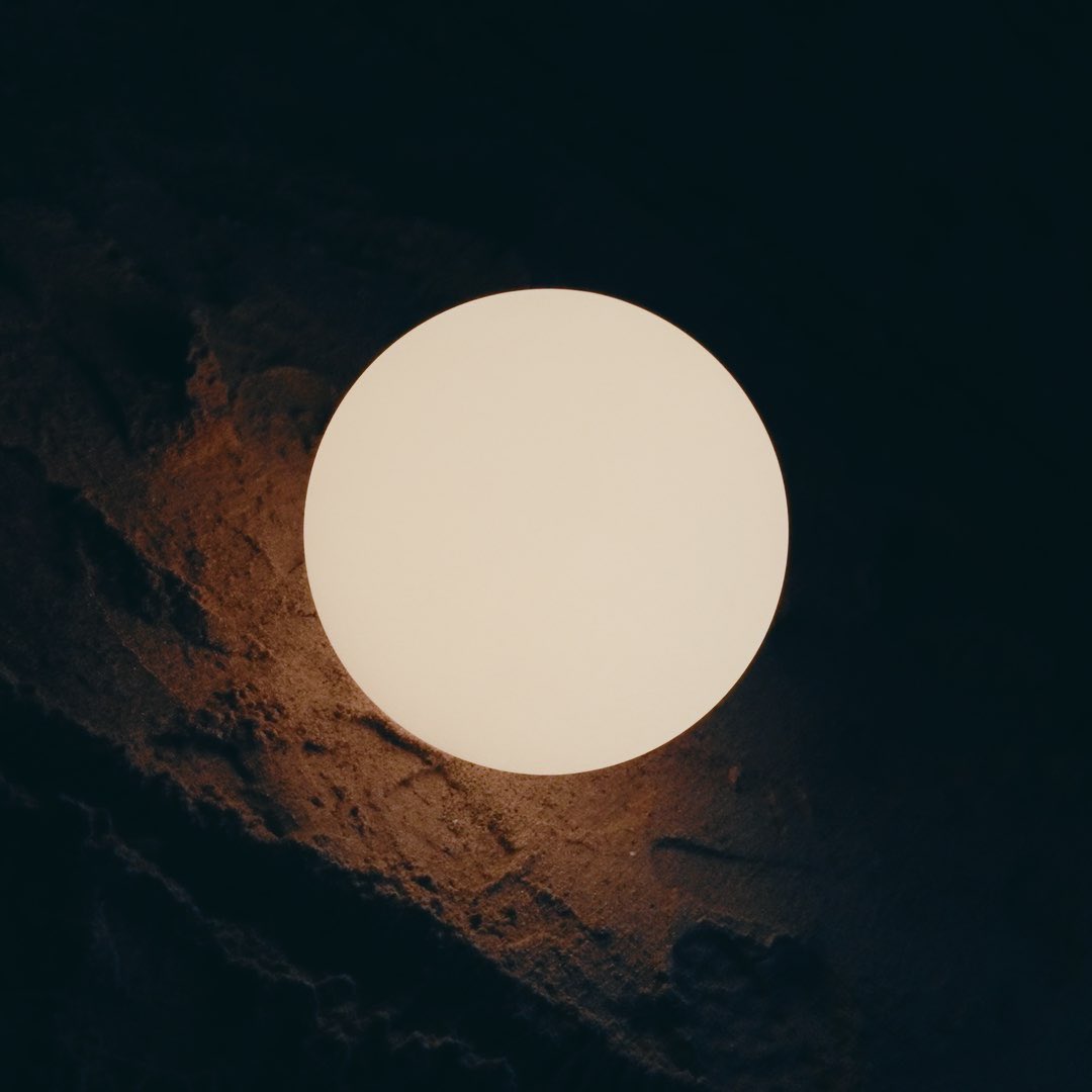 Said The Sky tweet media