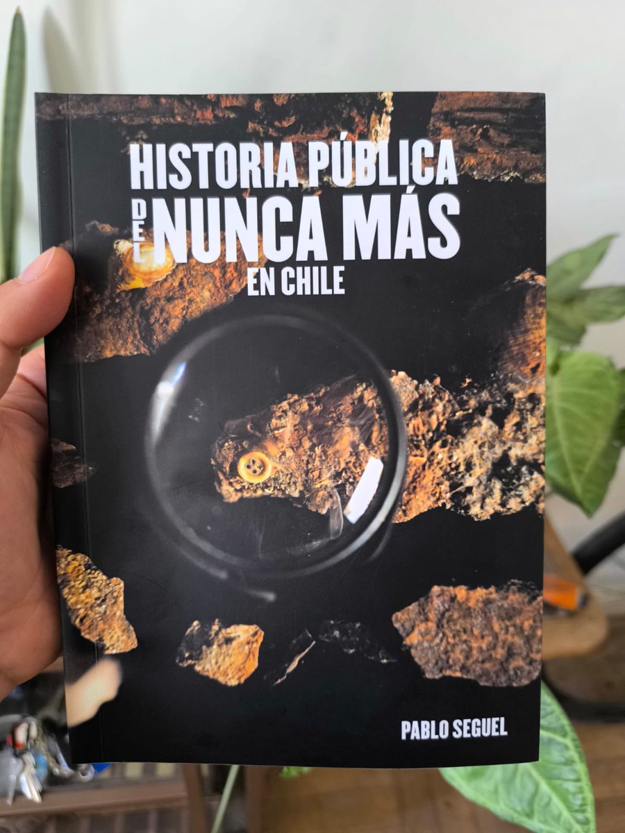Pablo Seguel tweet media