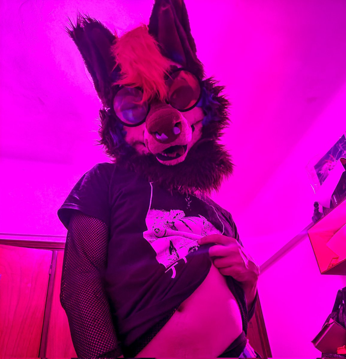 ZevenGrowls➡️Howl2026 tweet media