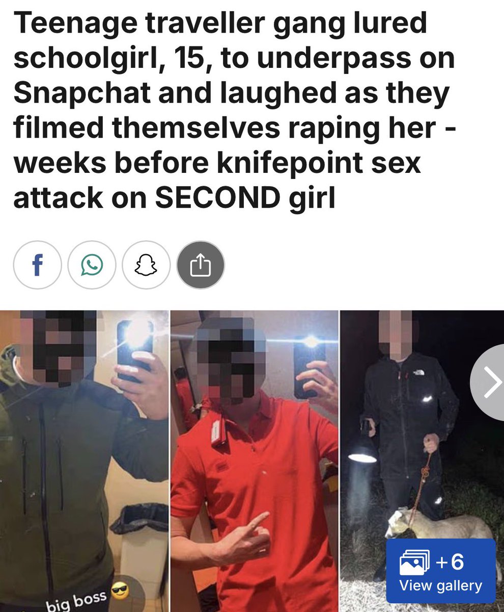 S A M M Y Woodhouse tweet media