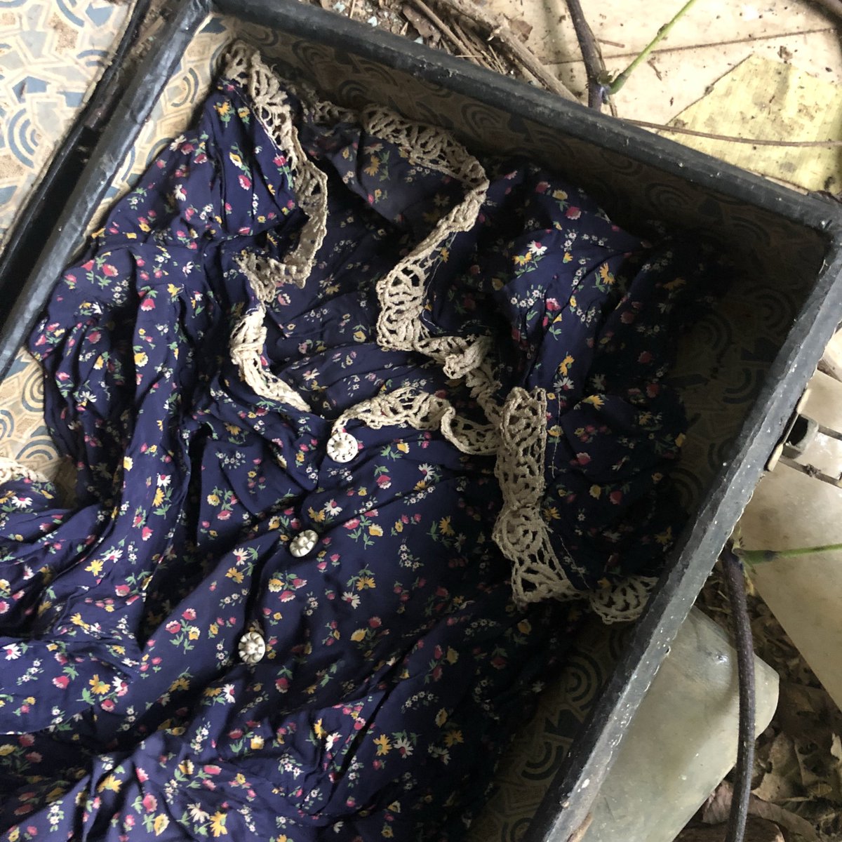 Diary of Abandonment tweet media