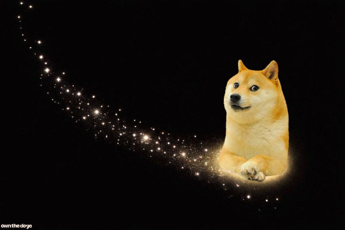 Own The Doge 🐶🖼 tweet media