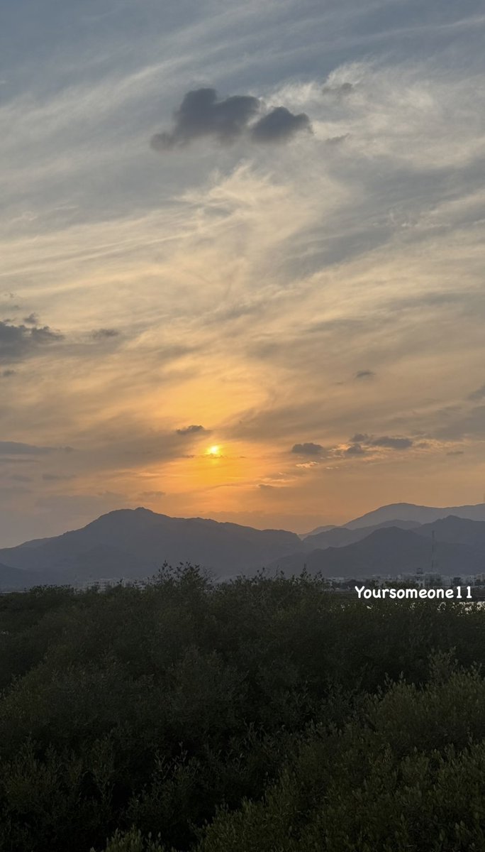 ρꪮꪮ𝓳ꪖ 🌸 tweet media