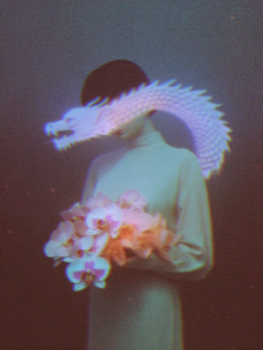 katt latte 🪩 tweet media