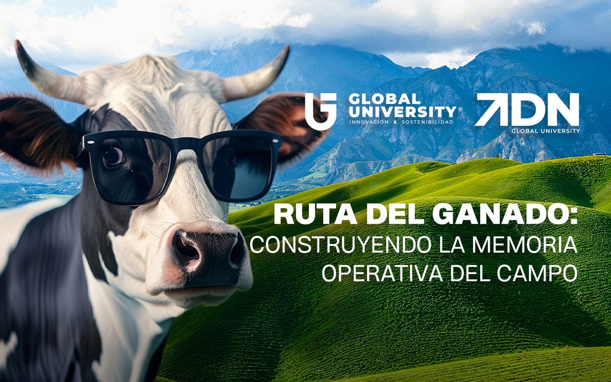 Ángel Santiago, estudiante de Ingeniería en Seguridad Informática y Desarrollo de Software, detectó una brecha en uno de los sectores más tradicionales del país y decidió construir una solución tecnológica con impacto tangible.

👉 : globaluniversity.edu.mx/detallenota.ph…