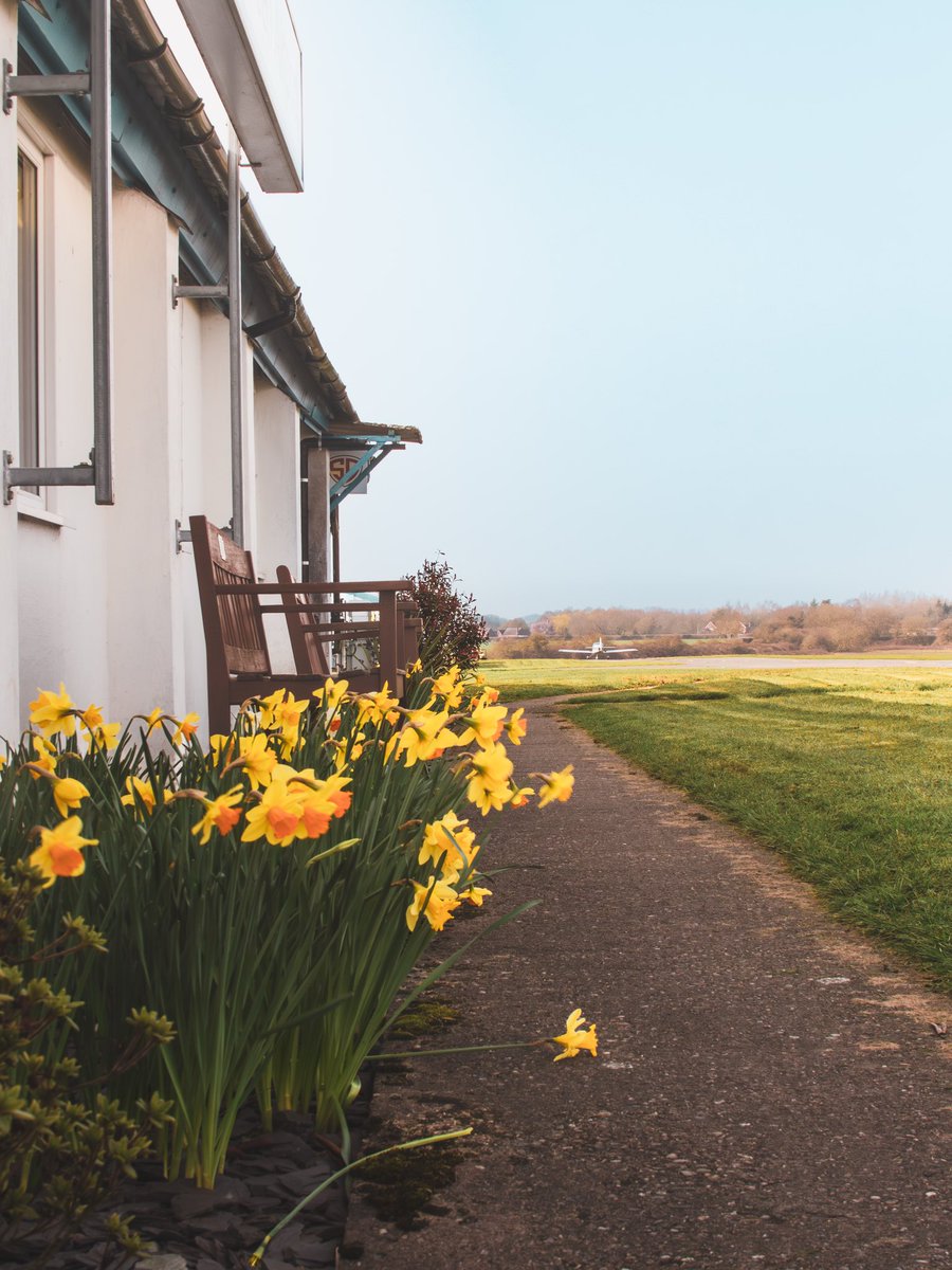 Wolverhampton Halfpenny Green Airport tweet media
