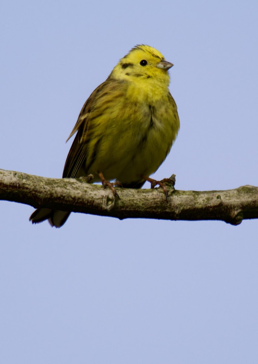 Tim Ridgeway tweet media