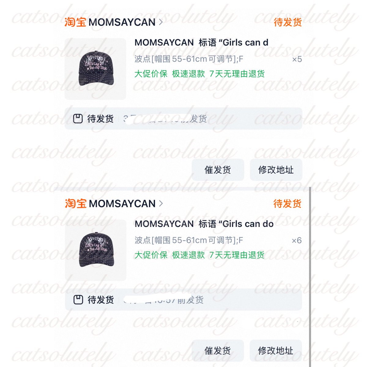 catsolutely tweet media