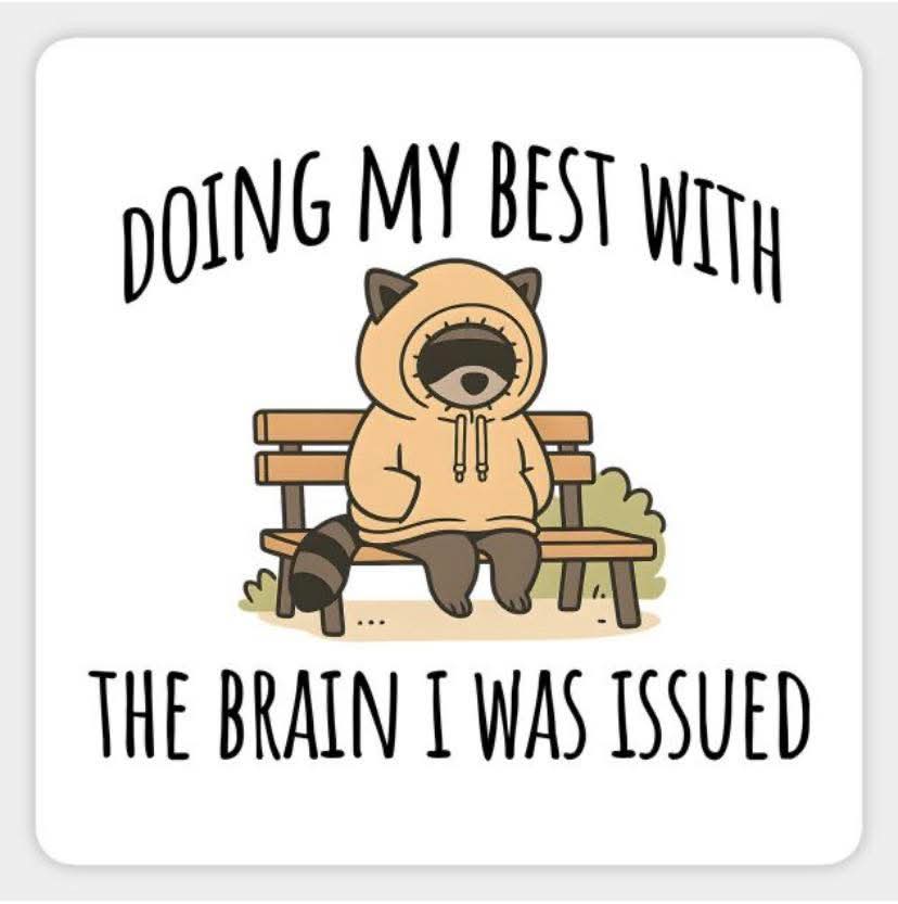 No Nonsense Neurodivergent tweet media